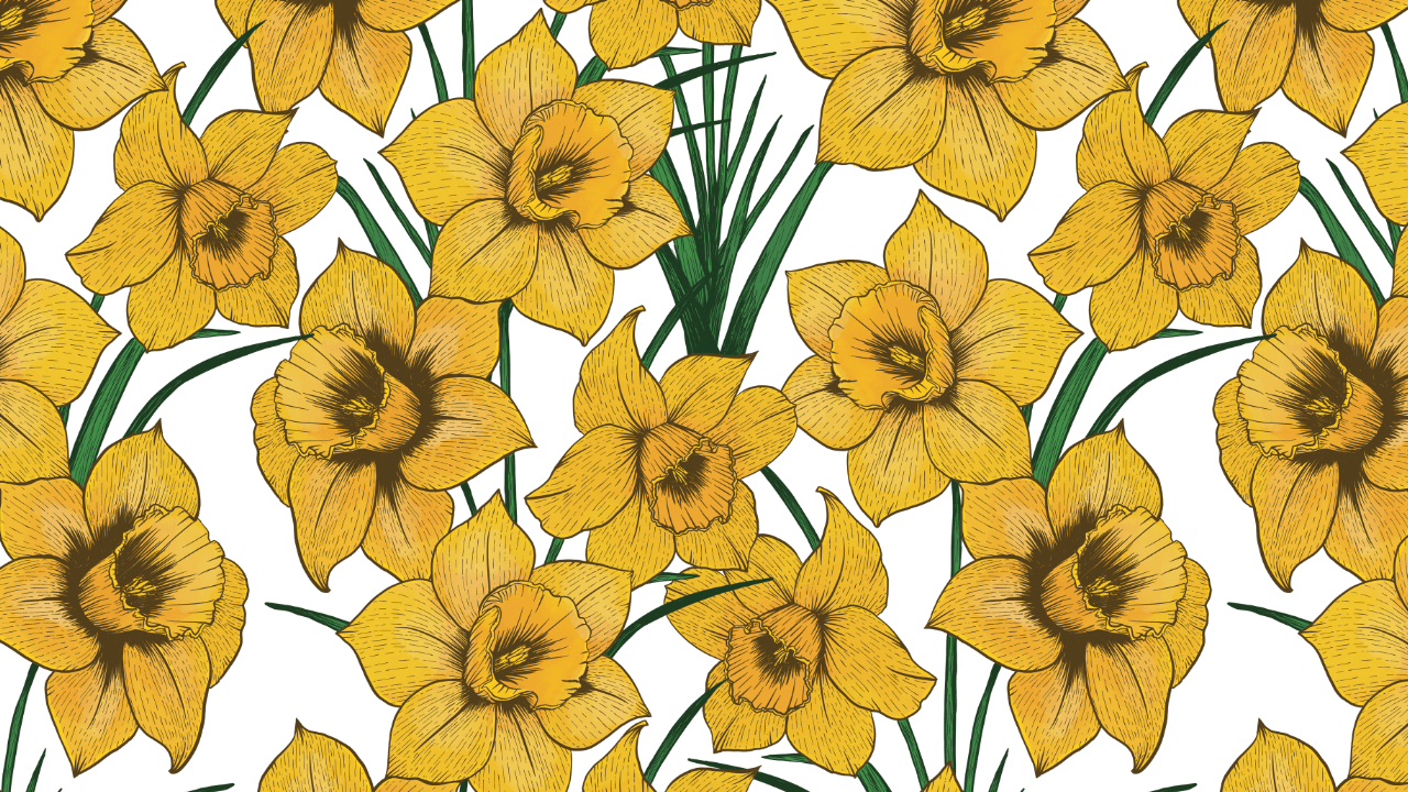 March’s Birth Flower: Daffodil – New Beginnings, Creativity, and Prosperity