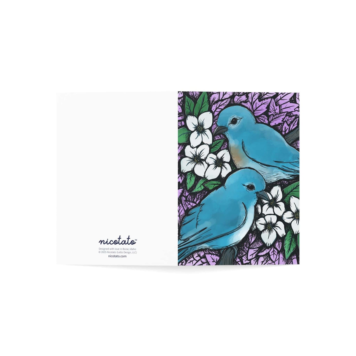 Idaho Mountain Bluebirds and Syringa Flowers