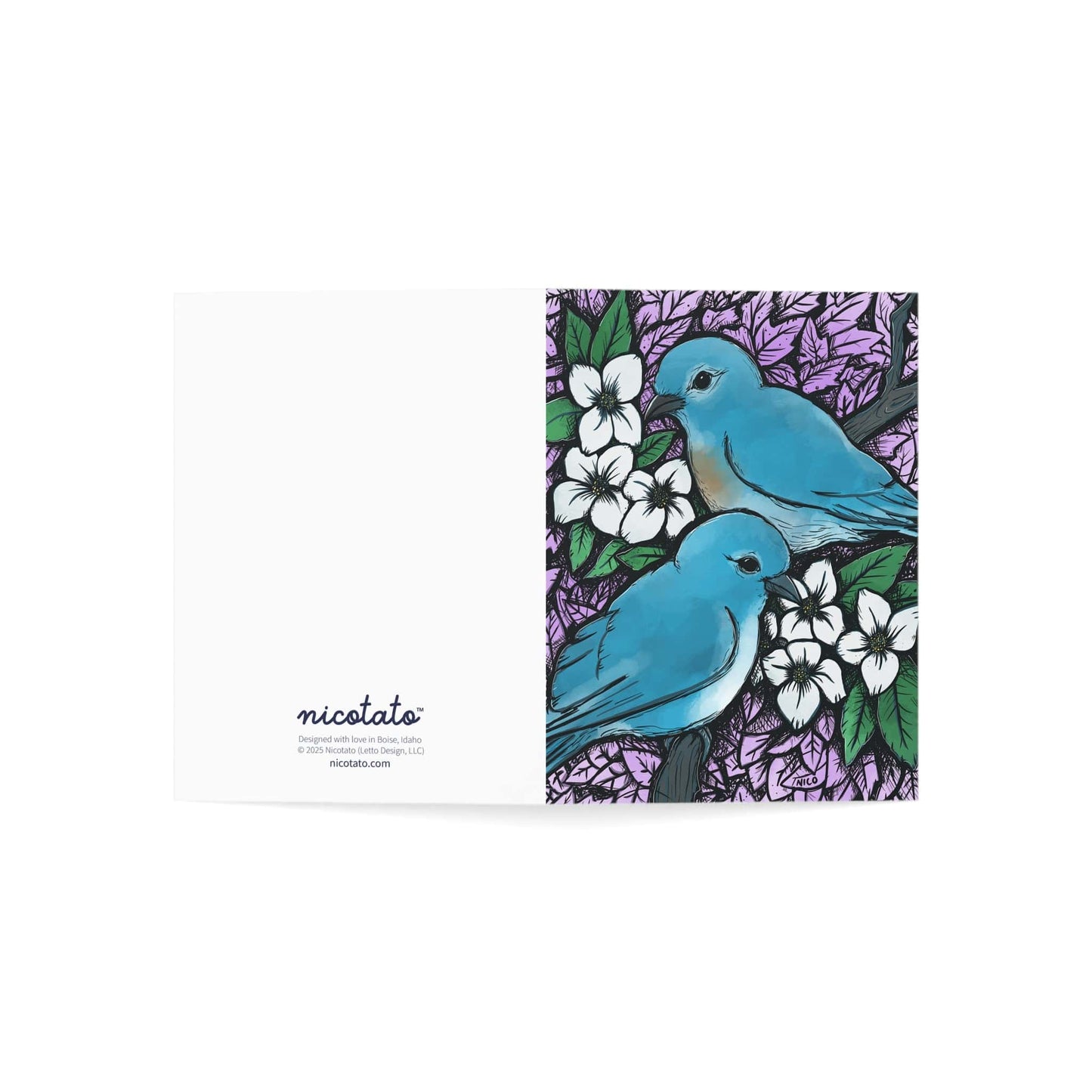 Idaho Mountain Bluebirds and Syringa Flowers