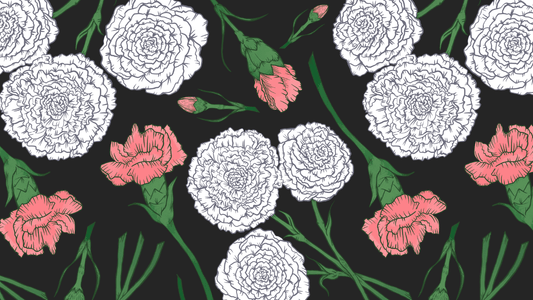 January’s Birth Flower: Carnations – Love, Devotion, and Fascination