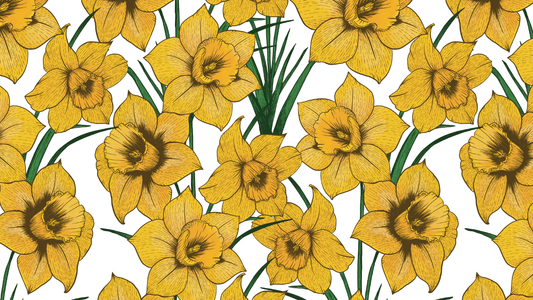 March’s Birth Flower: Daffodil – New Beginnings, Creativity, and Prosperity