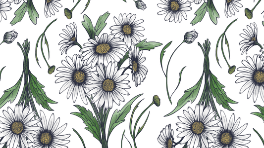 April’s Birth Flower: Daisy – Purity, Innocence, and Joy