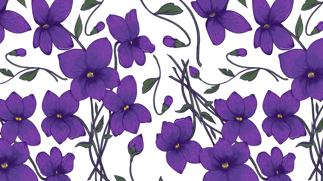 February’s Birth Flower: Violets – Love, Modesty, and Loyalty