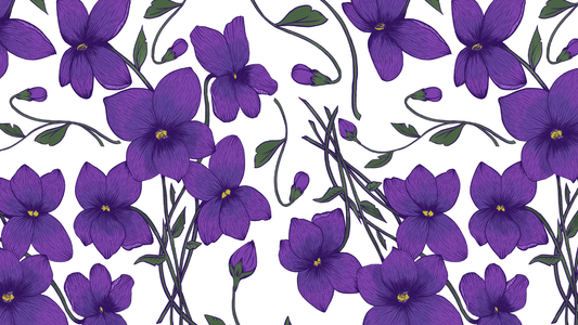 February’s Birth Flower: Violets – Love, Modesty, and Loyalty
