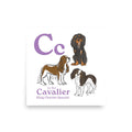 10″×10″ C is for Cavalier Art Print
