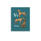 11″×14″ V is for Vizsla: Unframed Hand-Drawn Print for Kids Room