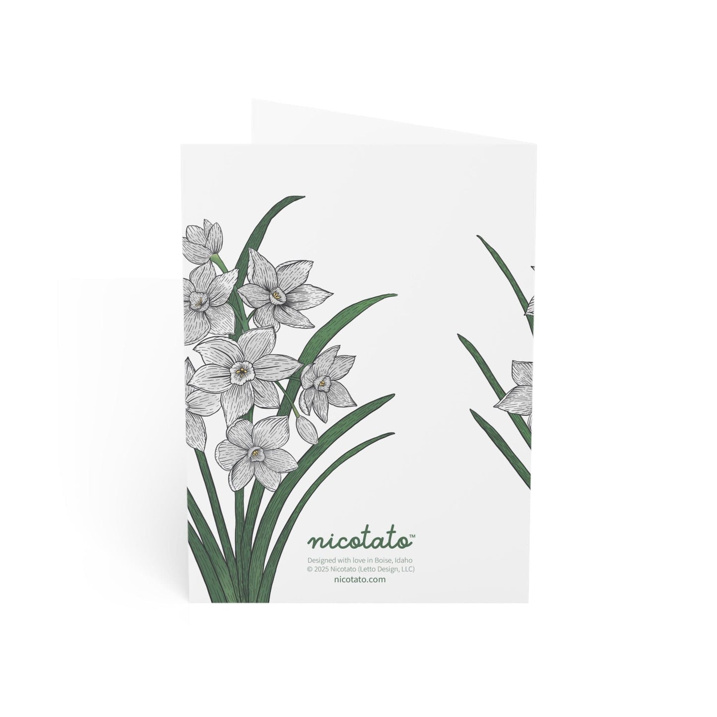 Thinking of You – Paperwhite Flower Greeting Card