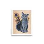 8″×10″ Grey Cat with African Daisies Art Print