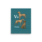 8″×10″ V is for Vizsla: Unframed Hand-Drawn Print for Kids Room