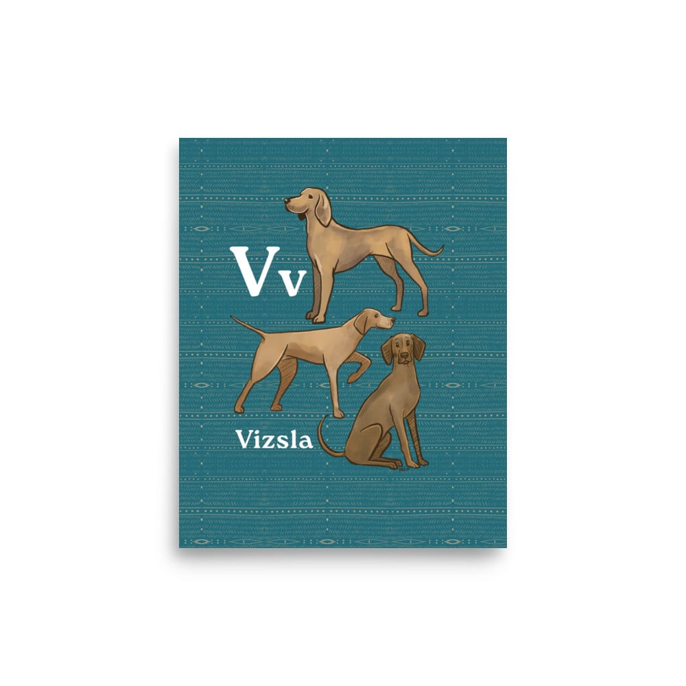 8″×10″ V is for Vizsla: Unframed Hand-Drawn Print for Kids Room