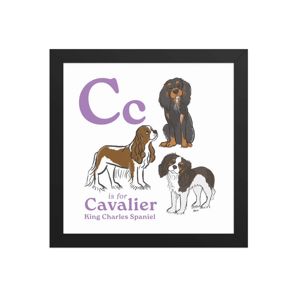 Black / 10″×10″ C is for Cavalier Framed Print