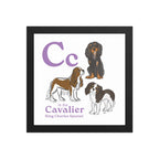 Black / 10″×10″ C is for Cavalier Framed Print
