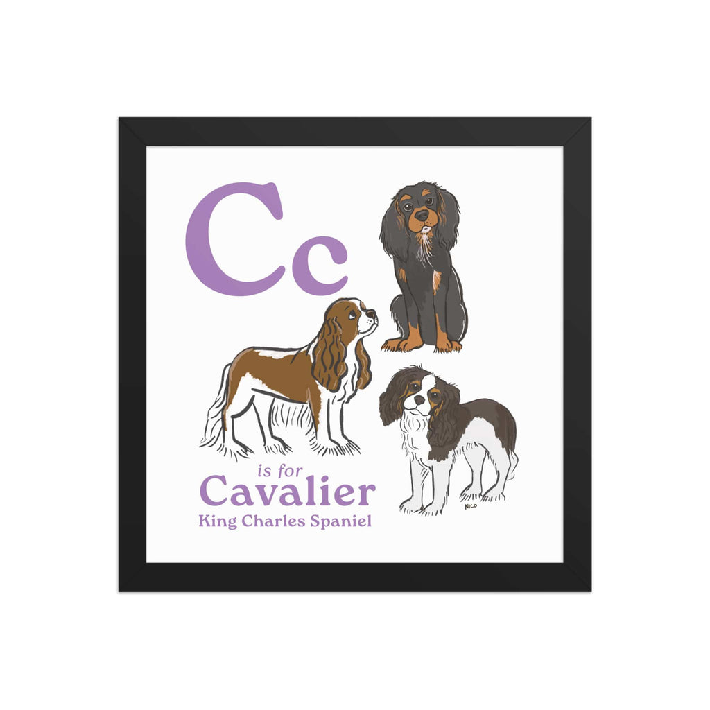 Black / 12″×12″ C is for Cavalier Framed Print