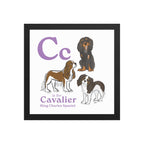 Black / 12″×12″ C is for Cavalier Framed Print