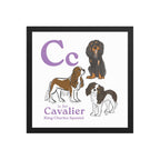 Black / 14″×14″ C is for Cavalier Framed Print