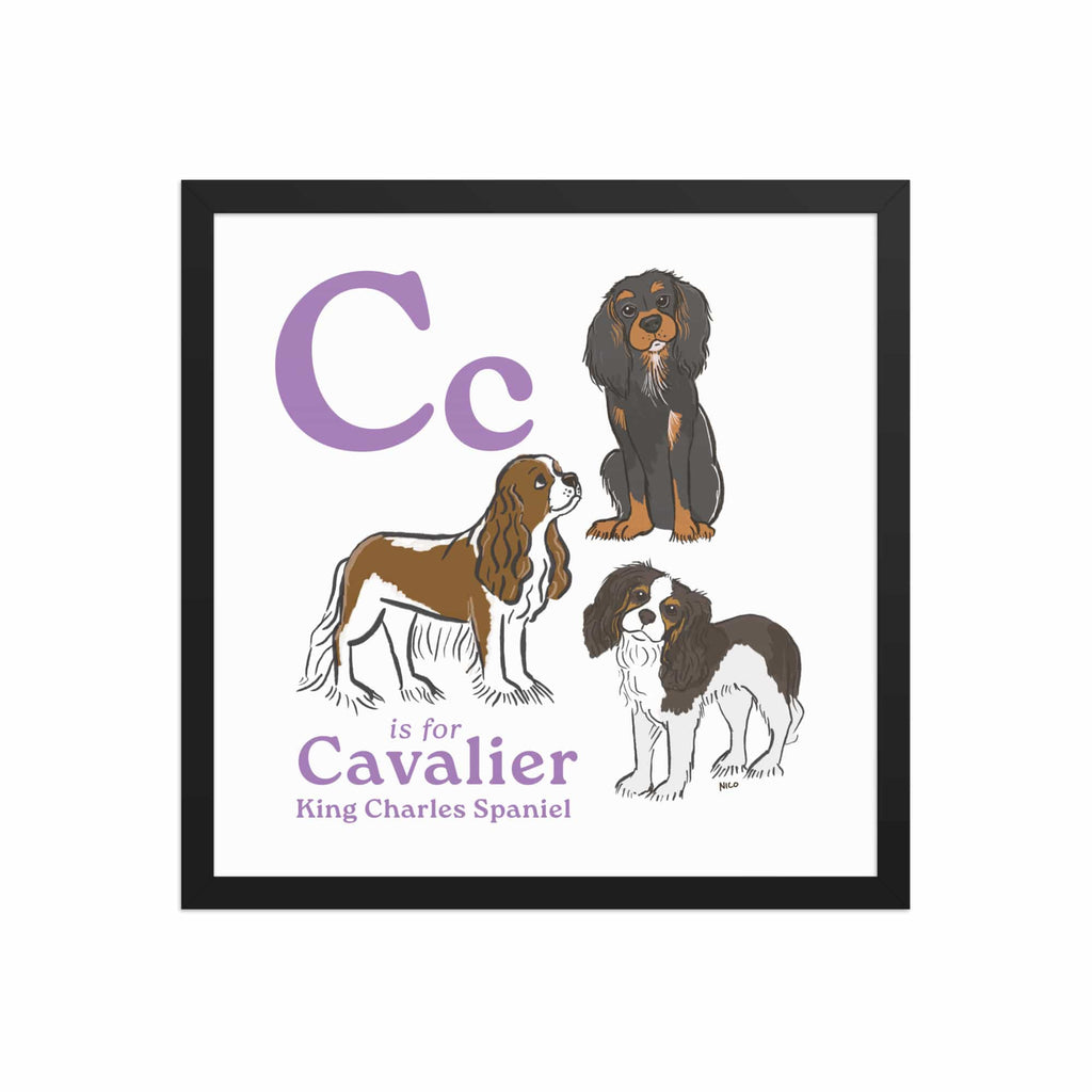 Black / 16″×16″ C is for Cavalier Framed Print