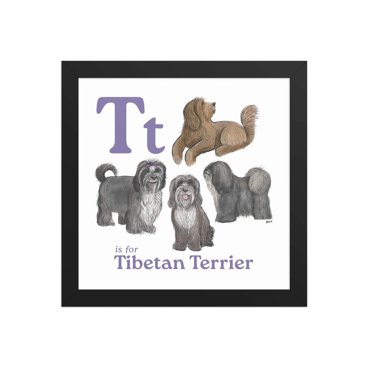 FRAMED-POSTER Black / 10″×10″ T is for Tibetan Terrier Framed Print | Kids Room Art
