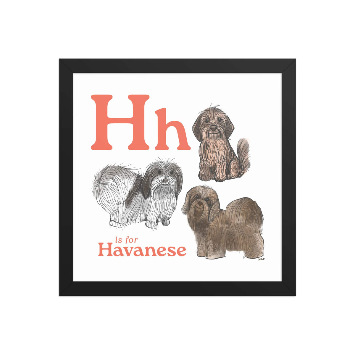 FRAMED-POSTER Black / 12″×12″ H is for Havanese Framed Print | Kids Room Art