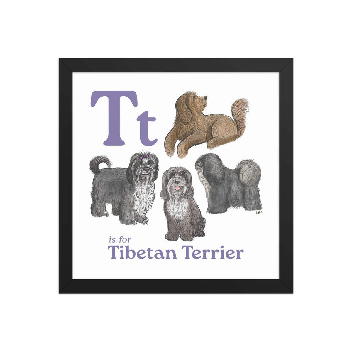 FRAMED-POSTER Black / 12″×12″ T is for Tibetan Terrier Framed Print | Kids Room Art