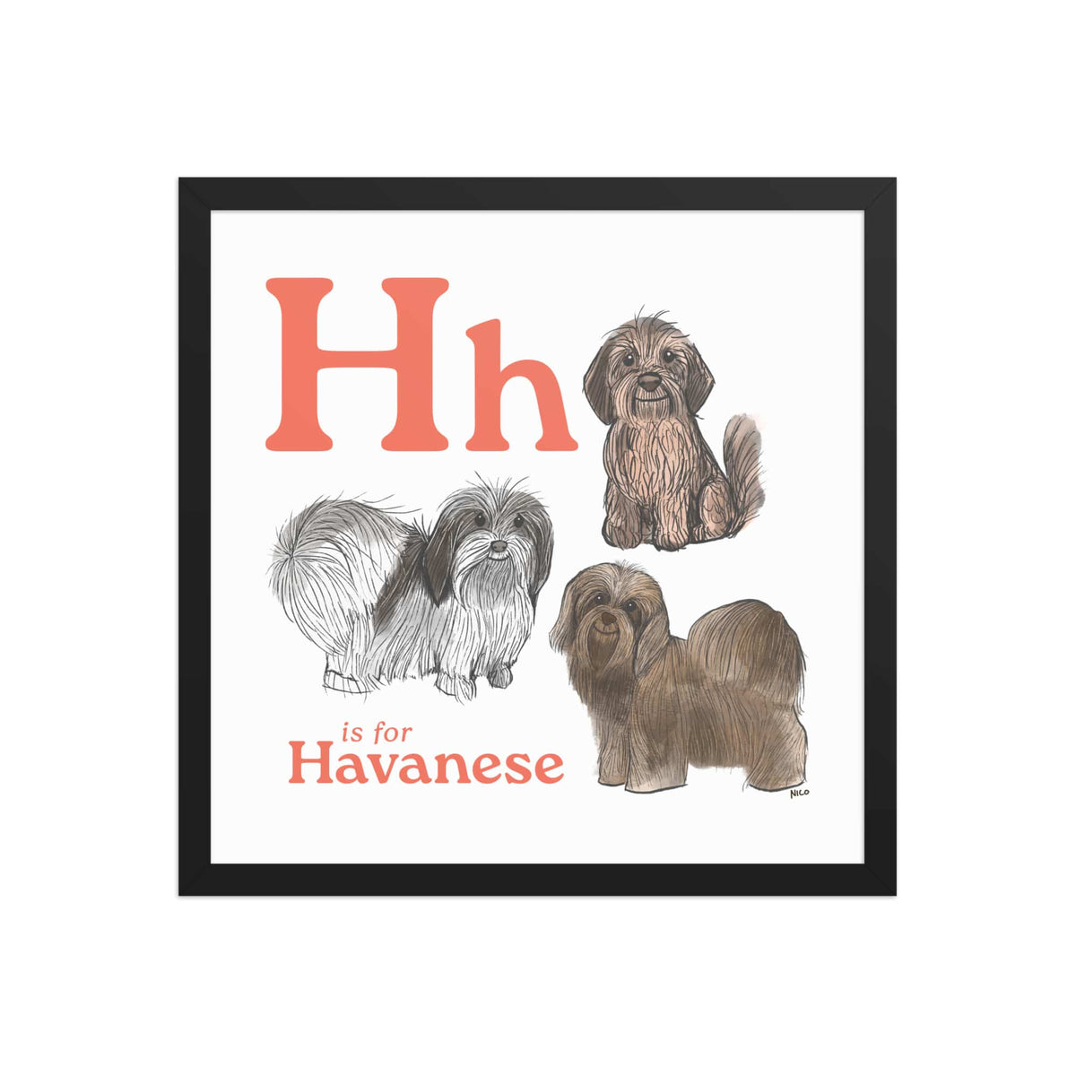 FRAMED-POSTER Black / 16″×16″ H is for Havanese Framed Print | Kids Room Art