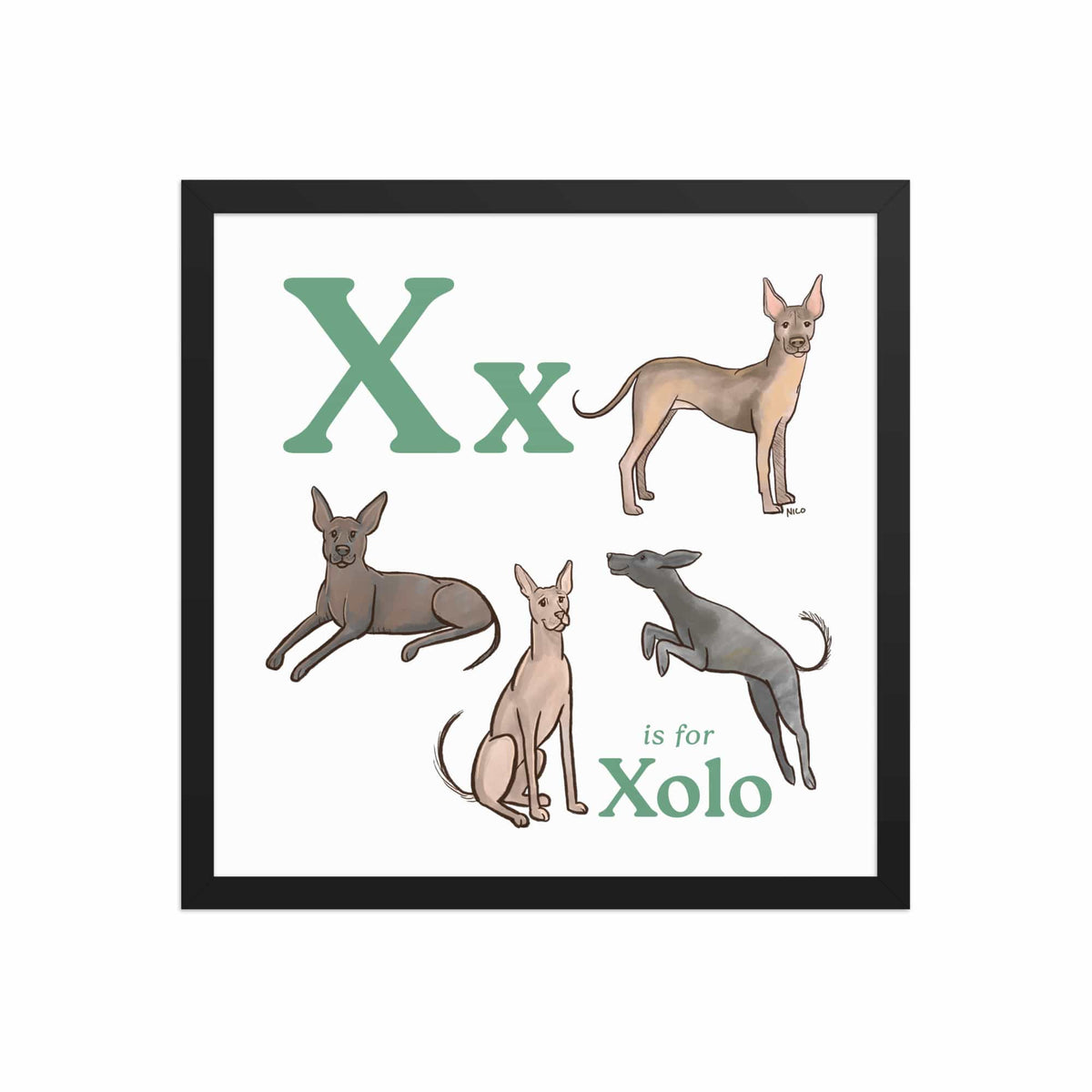 FRAMED-POSTER Black / 16″×16″ X is for Xolo Framed Art Print | Kids Room Art
