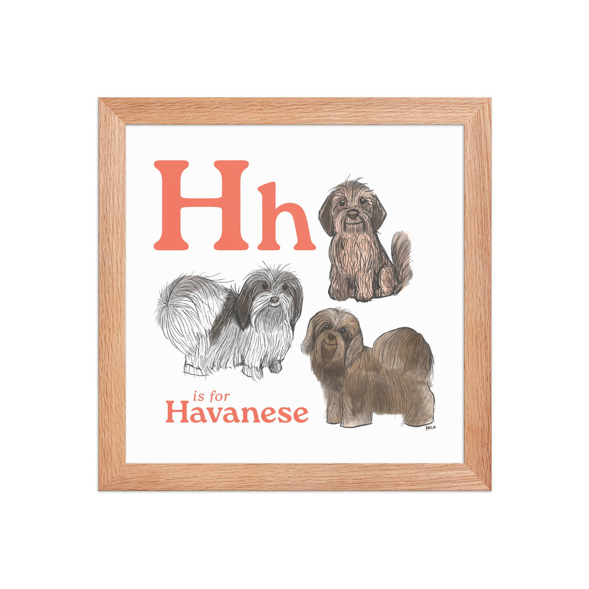 FRAMED-POSTER Red Oak / 10″×10″ H is for Havanese Framed Print | Kids Room Art