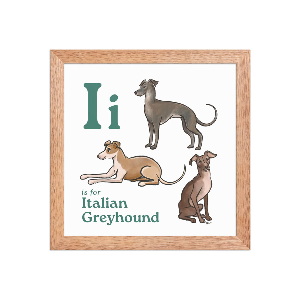 FRAMED-POSTER Red Oak / 10″×10″ I is for Italian Greyhound Framed Print | Kids Room Art