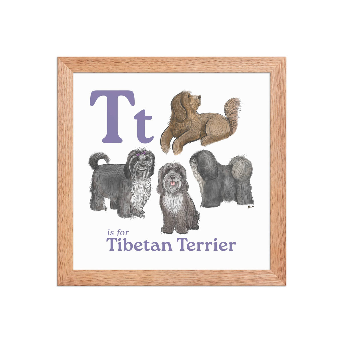 FRAMED-POSTER Red Oak / 10″×10″ T is for Tibetan Terrier Framed Print | Kids Room Art