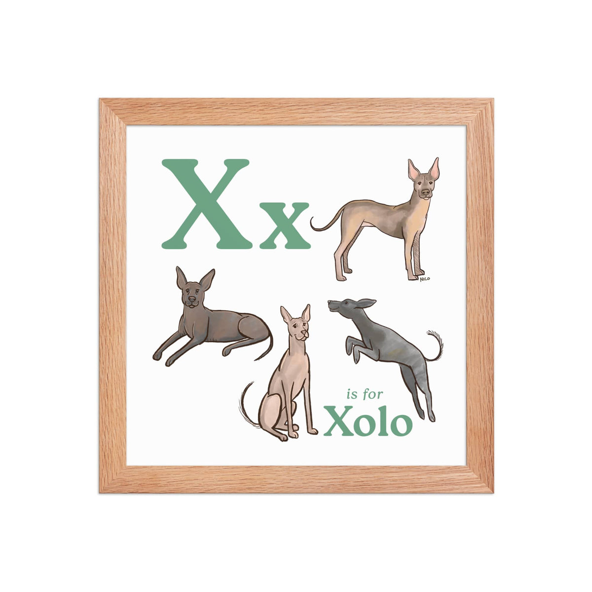 FRAMED-POSTER Red Oak / 10″×10″ X is for Xolo Framed Art Print | Kids Room Art
