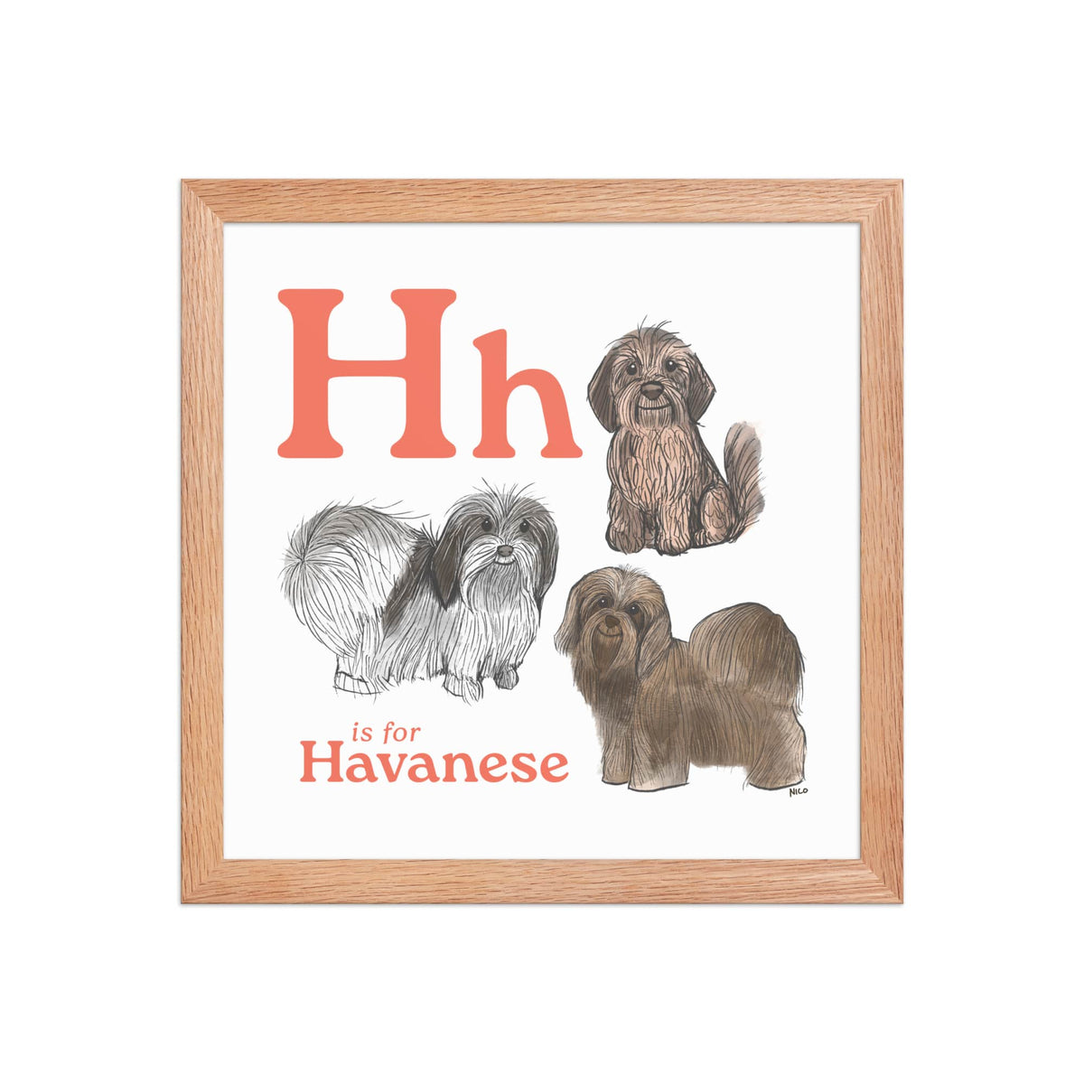 FRAMED-POSTER Red Oak / 12″×12″ H is for Havanese Framed Print | Kids Room Art