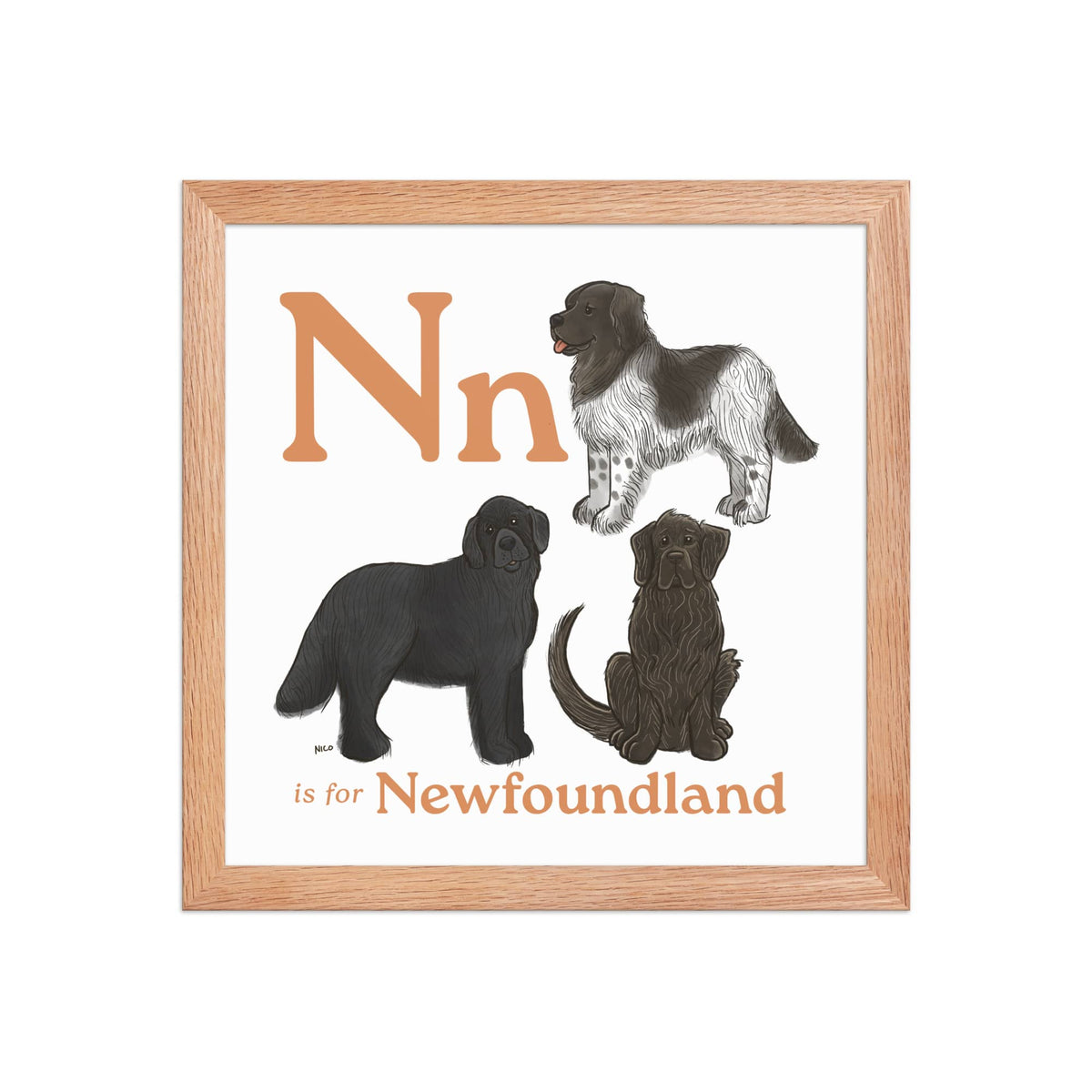 FRAMED-POSTER Red Oak / 12″×12″ N is for Newfoundland Framed Print | Kids Room Art