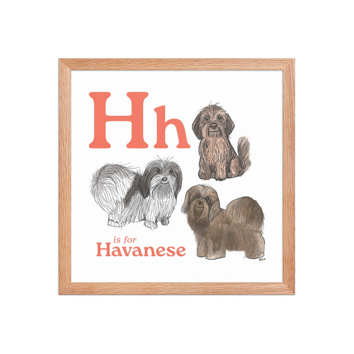 FRAMED-POSTER Red Oak / 14″×14″ H is for Havanese Framed Print | Kids Room Art