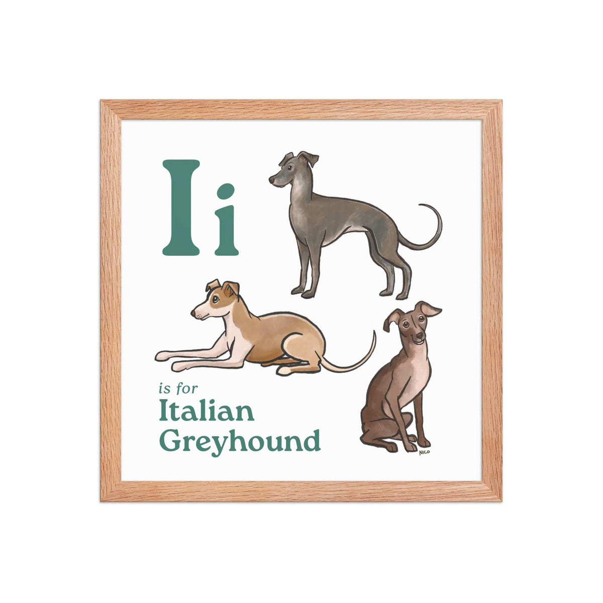 FRAMED-POSTER Red Oak / 14″×14″ I is for Italian Greyhound Framed Print | Kids Room Art
