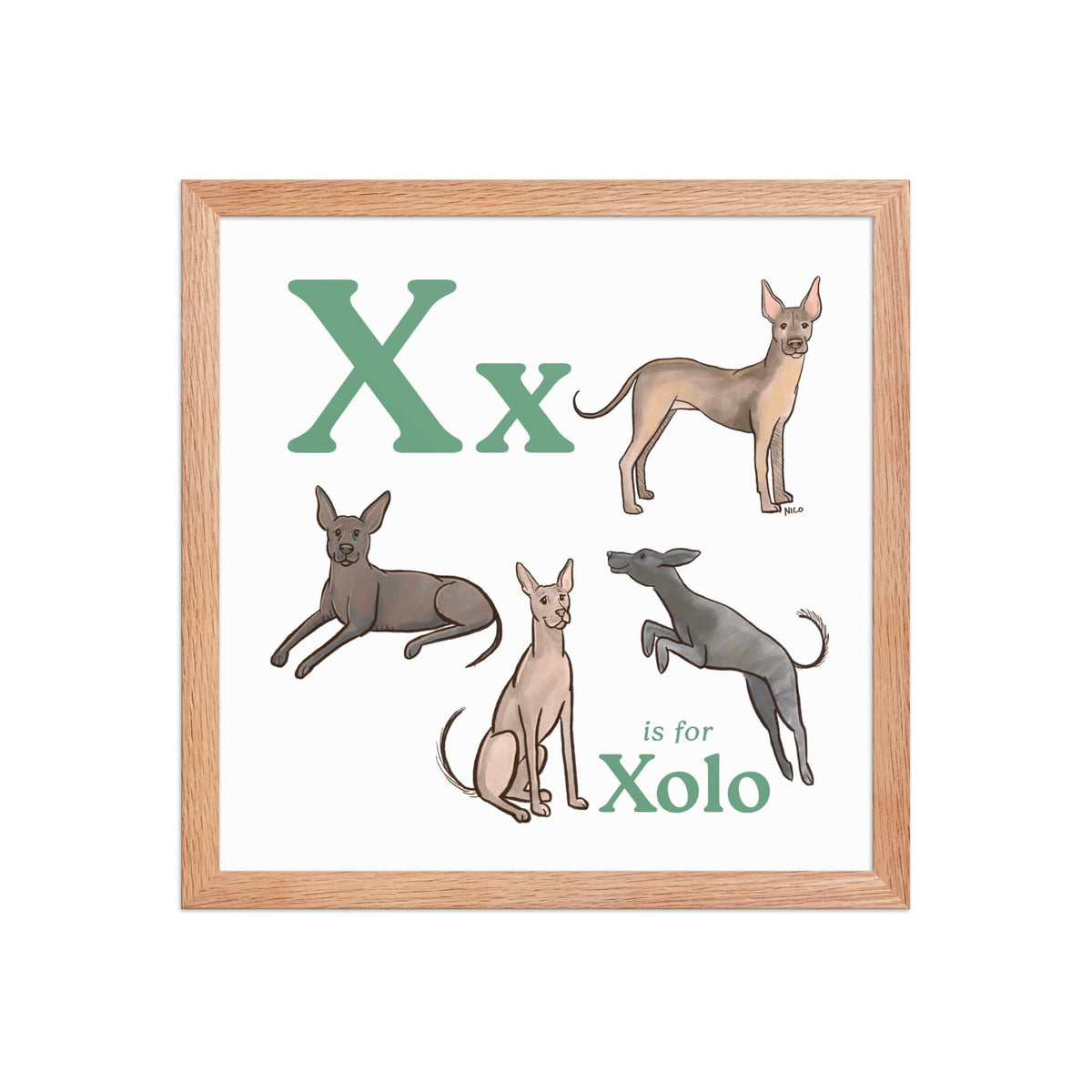 FRAMED-POSTER Red Oak / 14″×14″ X is for Xolo Framed Art Print | Kids Room Art