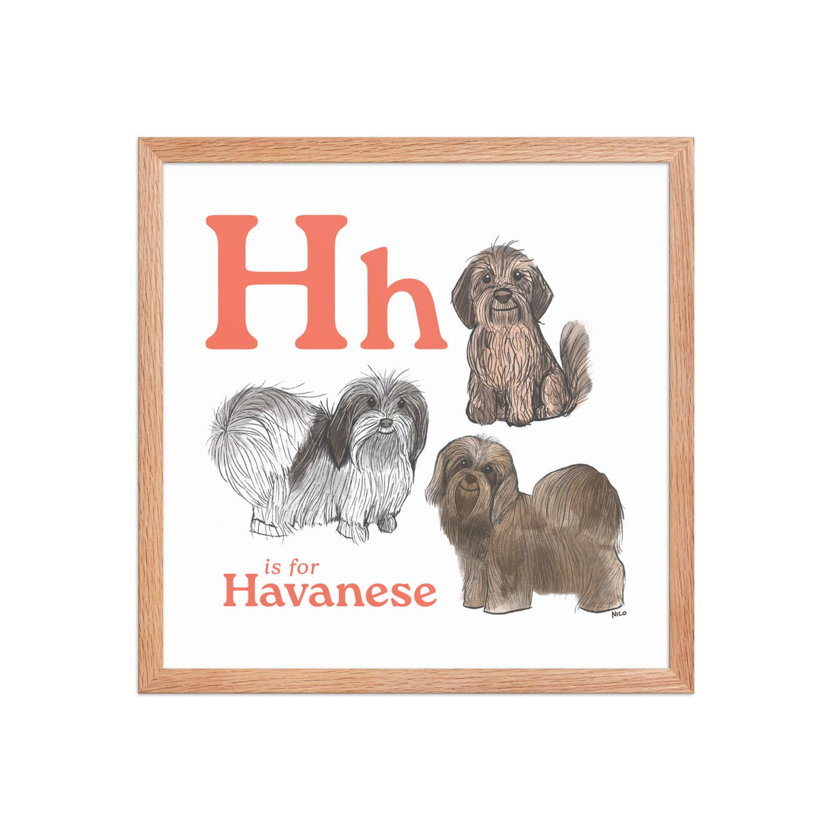 FRAMED-POSTER Red Oak / 16″×16″ H is for Havanese Framed Print | Kids Room Art