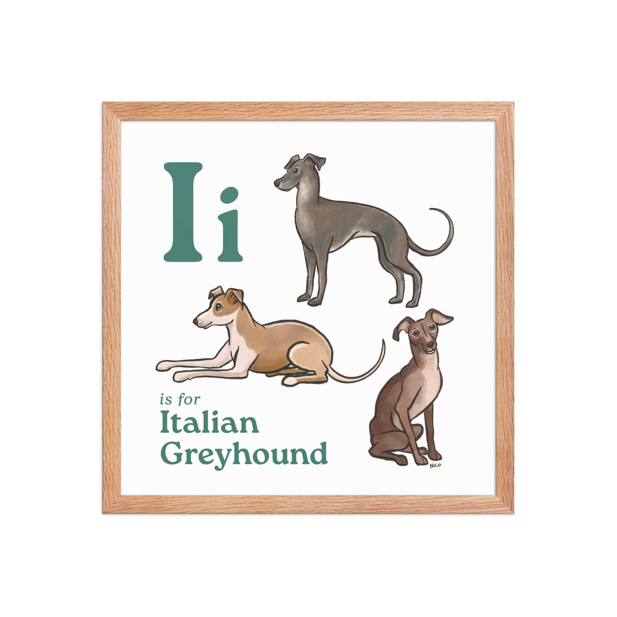 FRAMED-POSTER Red Oak / 16″×16″ I is for Italian Greyhound Framed Print | Kids Room Art