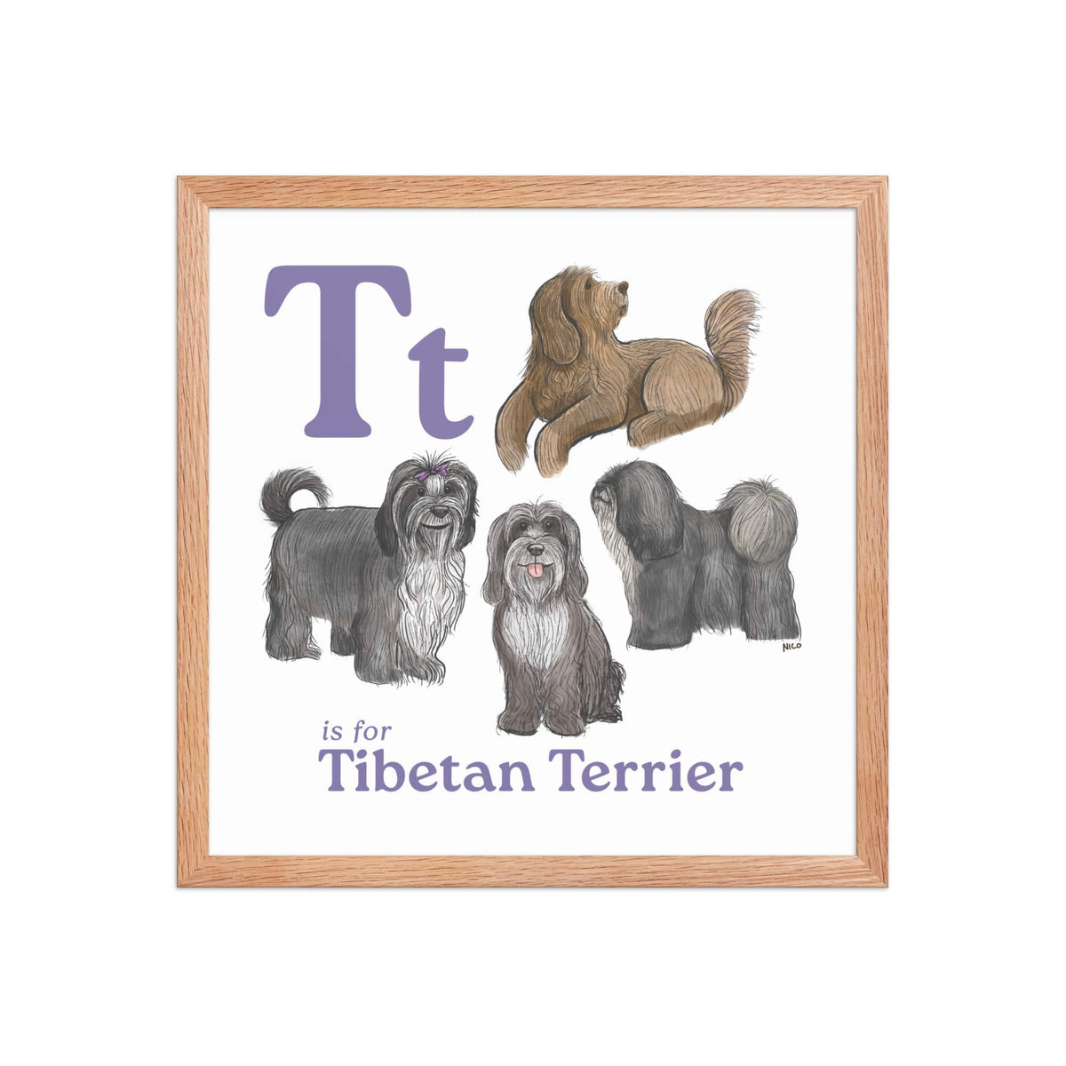FRAMED-POSTER Red Oak / 16″×16″ T is for Tibetan Terrier Framed Print | Kids Room Art