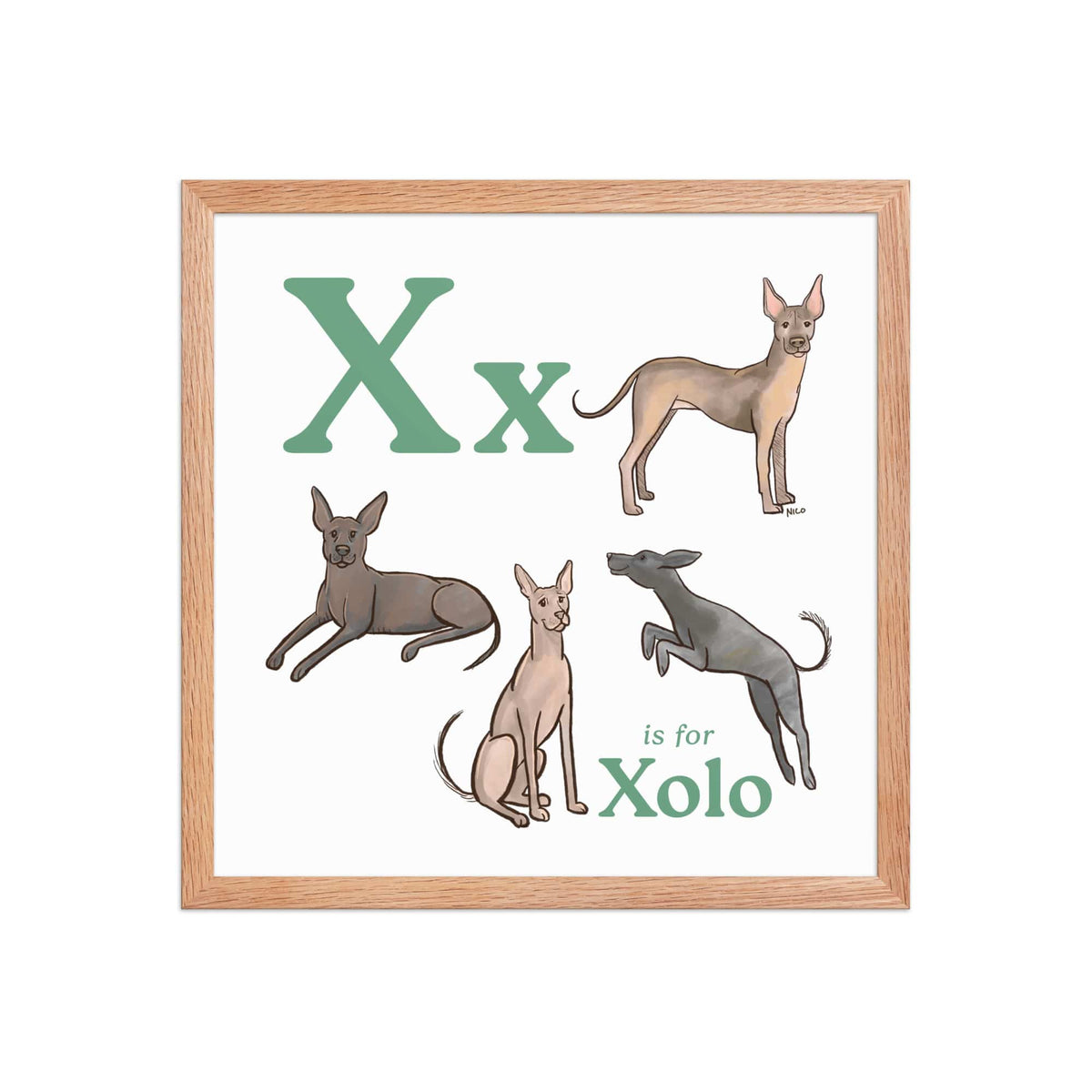 FRAMED-POSTER Red Oak / 16″×16″ X is for Xolo Framed Art Print | Kids Room Art