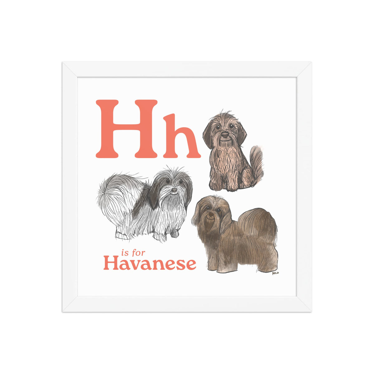 FRAMED-POSTER White / 12″×12″ H is for Havanese Framed Print | Kids Room Art