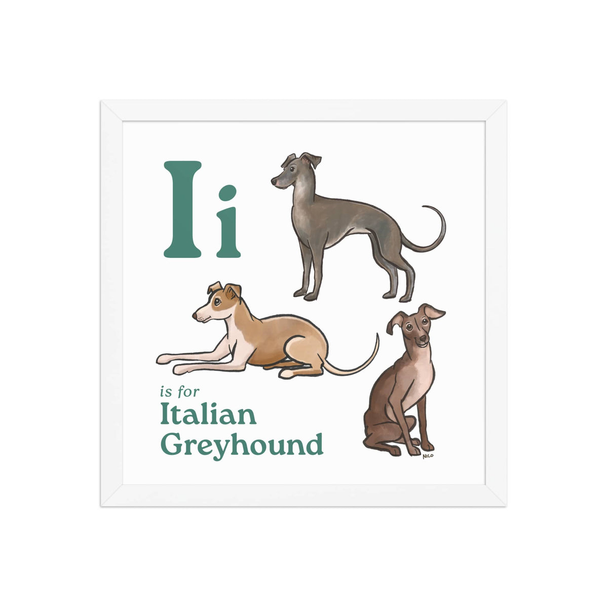 FRAMED-POSTER White / 14″×14″ I is for Italian Greyhound Framed Print | Kids Room Art