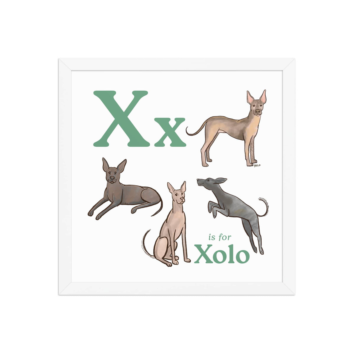 FRAMED-POSTER White / 14″×14″ X is for Xolo Framed Art Print | Kids Room Art