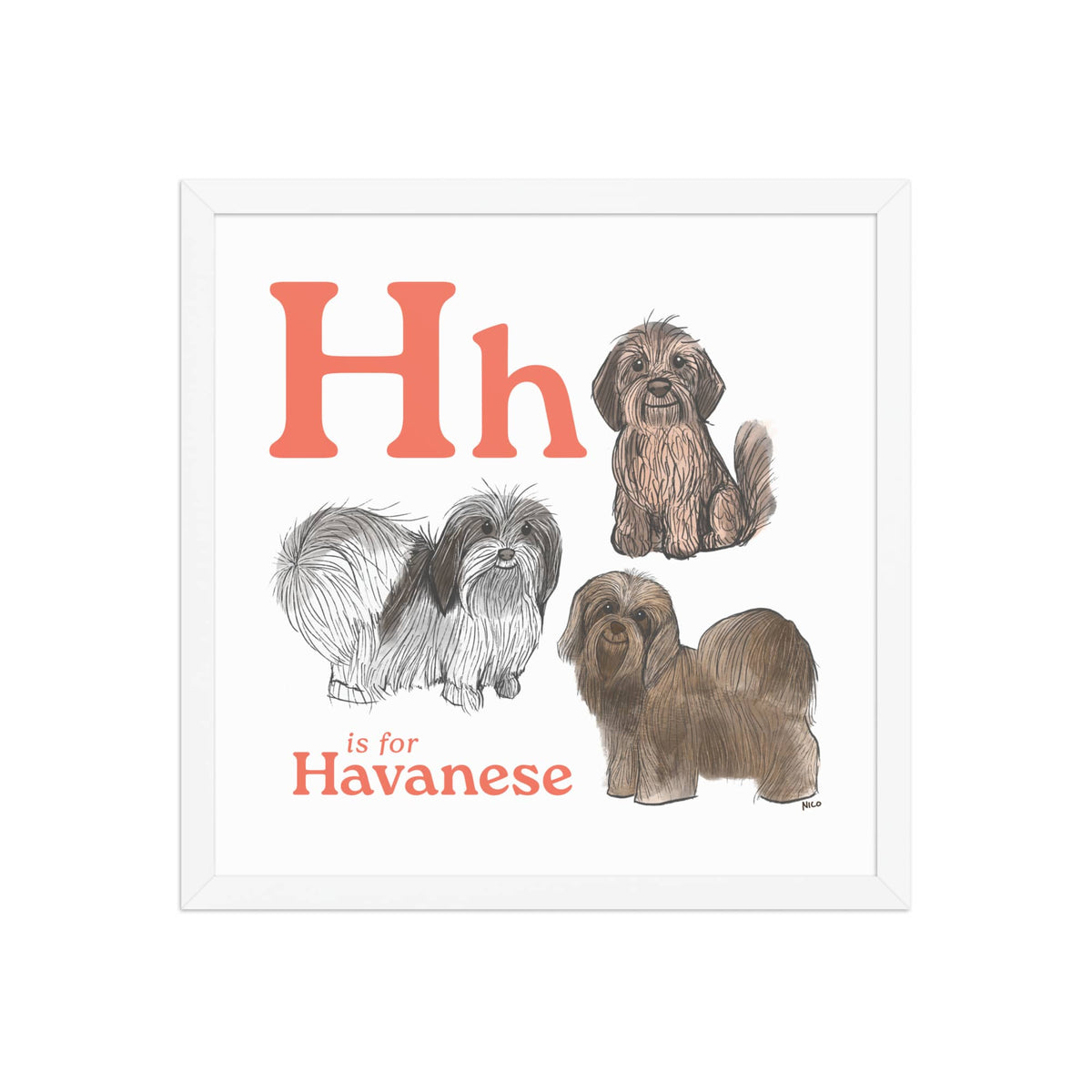 FRAMED-POSTER White / 16″×16″ H is for Havanese Framed Print | Kids Room Art