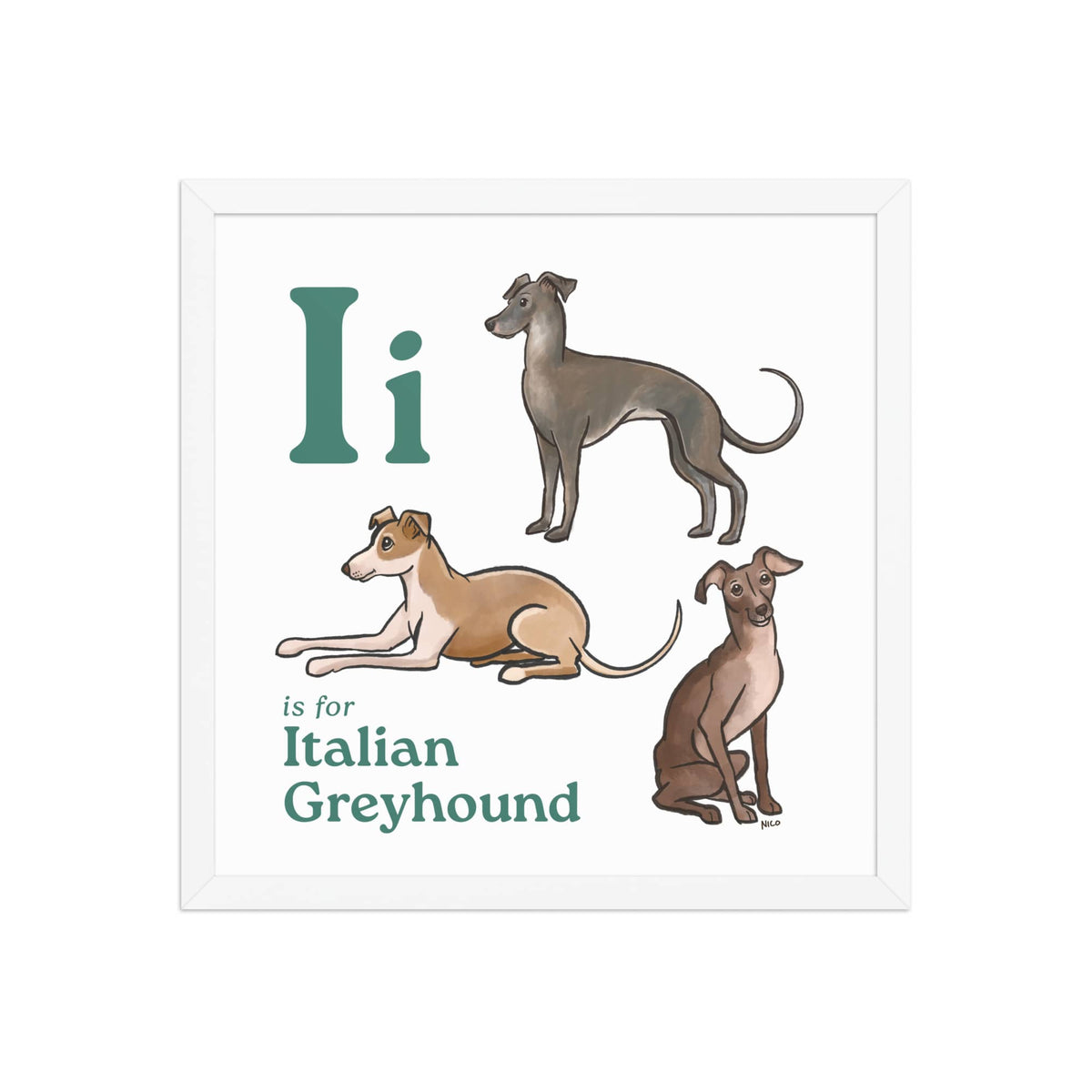 FRAMED-POSTER White / 16″×16″ I is for Italian Greyhound Framed Print | Kids Room Art