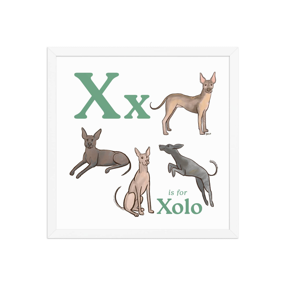 FRAMED-POSTER White / 16″×16″ X is for Xolo Framed Art Print | Kids Room Art