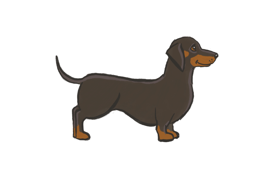 Nico Barclay Art A cartoon-style dachshund dog shown in side profile on a solid black background.