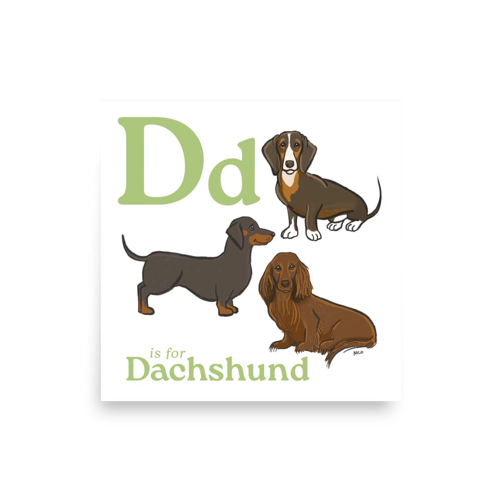 POSTER 10″×10″ D is for Dachshund Dog Breed ABCs Art Print