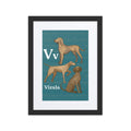 Print Material Black / 12″×16″ V is for Vizsla - Framed Dog Alphabet Print for Kids Room