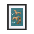 Print Material Black / 12″×16″ V is for Vizsla - Framed Dog Alphabet Print for Kids Room