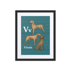 Print Material Black / 16″×20″ V is for Vizsla - Framed Dog Alphabet Print for Kids Room
