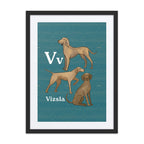Print Material Black / 18″×24″ V is for Vizsla - Framed Dog Alphabet Print for Kids Room